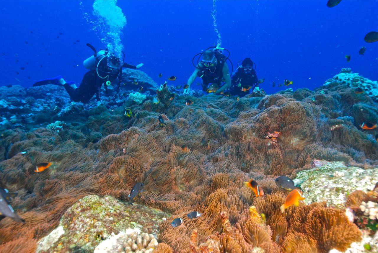 Reef Resort Vava'U Utungake Buitenkant foto